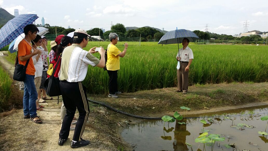 20150614 上水燕崗、塱原、河上鄉圍頭話導賞活動